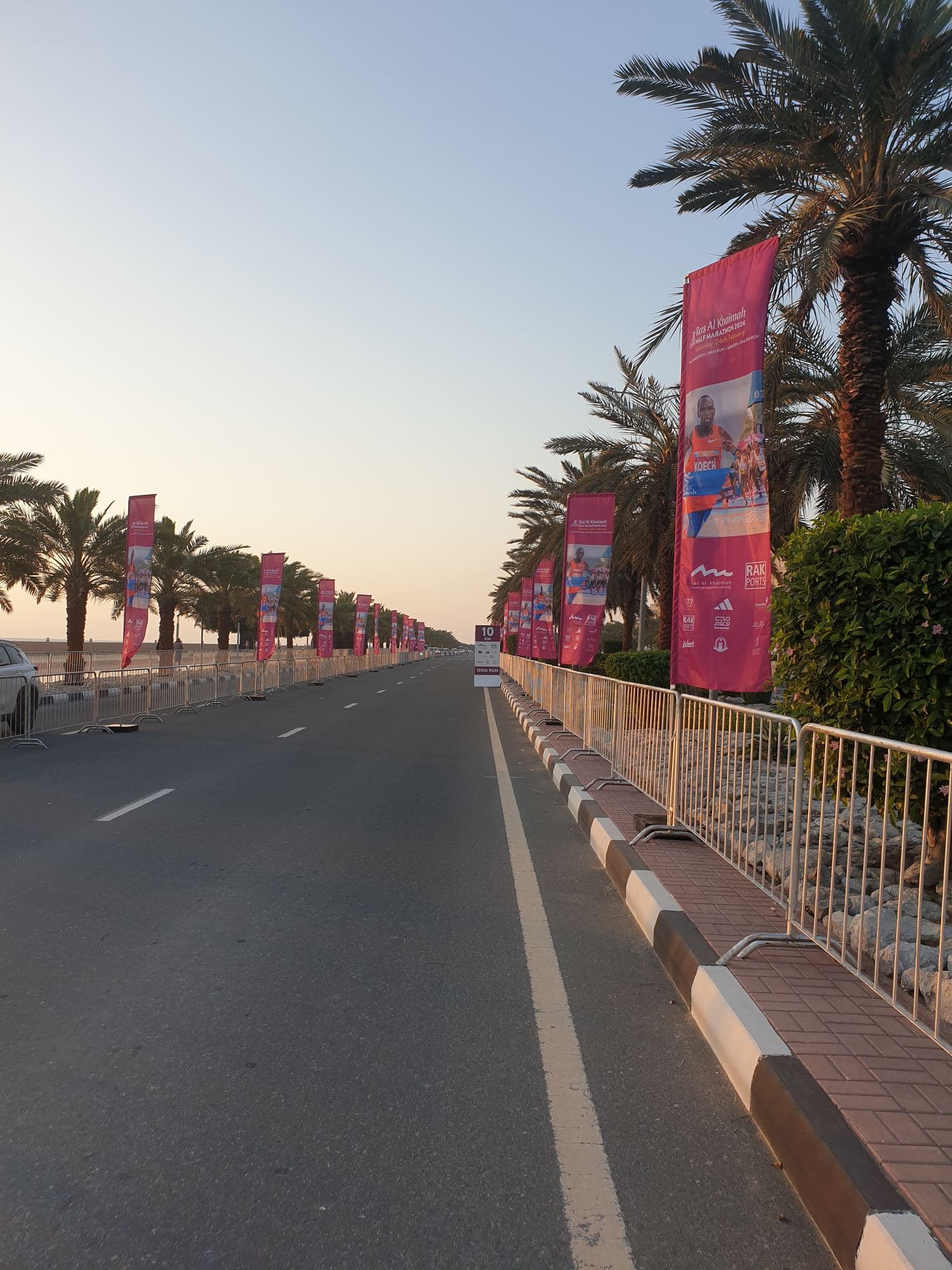 Printed flags fitted to street poles along an avenue